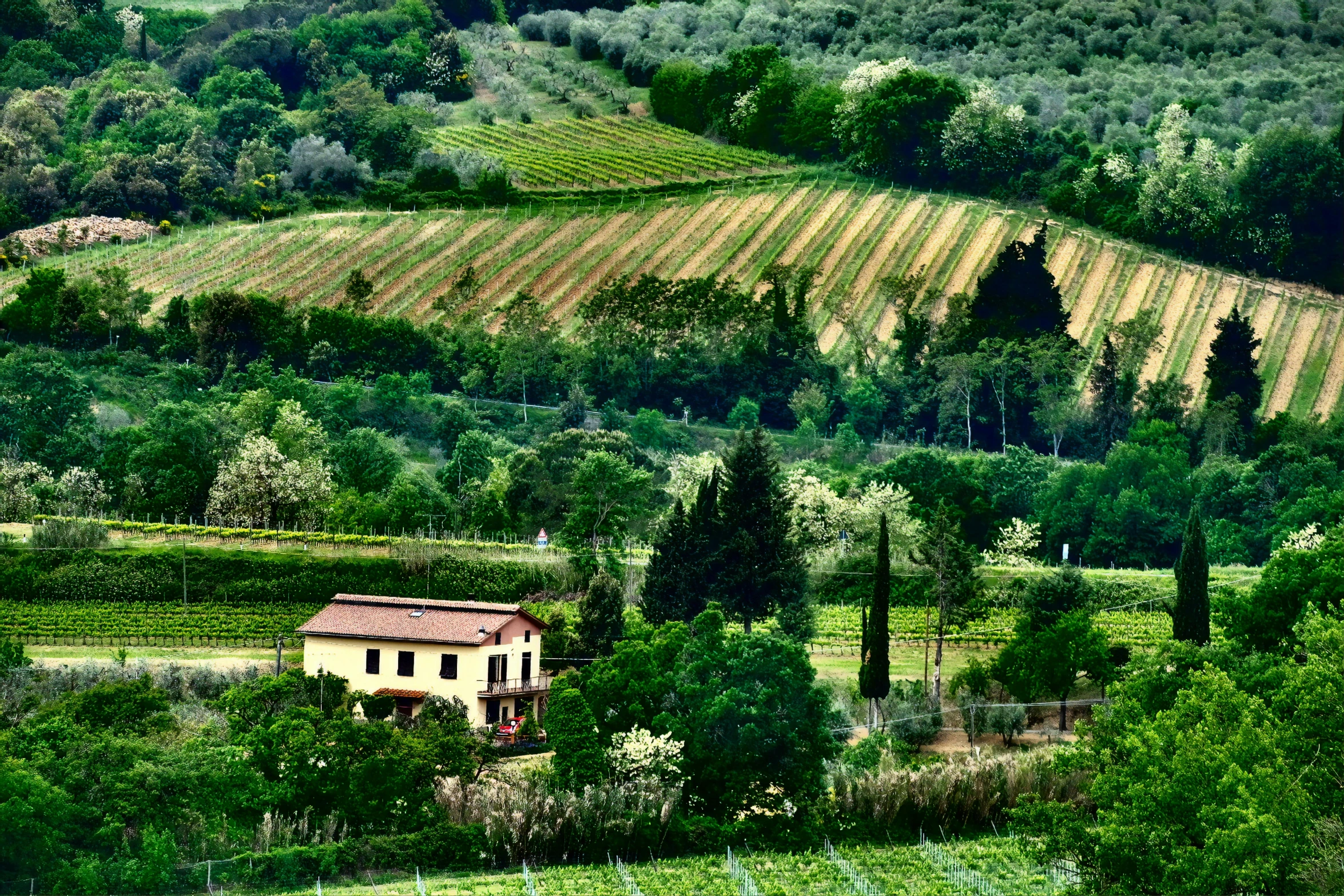 a small house in the middle of a field