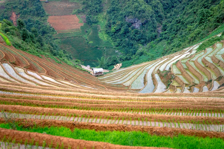 an aerial view of a man walking in an empty field