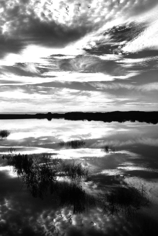 two people walking on a path with water in the distance