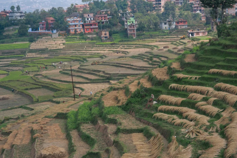 farmed field with houses in the distance