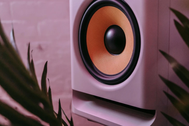 a close up of a speaker with a plant in the background, trending on pexels, funk art, soft light 4 k in pink, turntablist, tannoy, ambient amber light