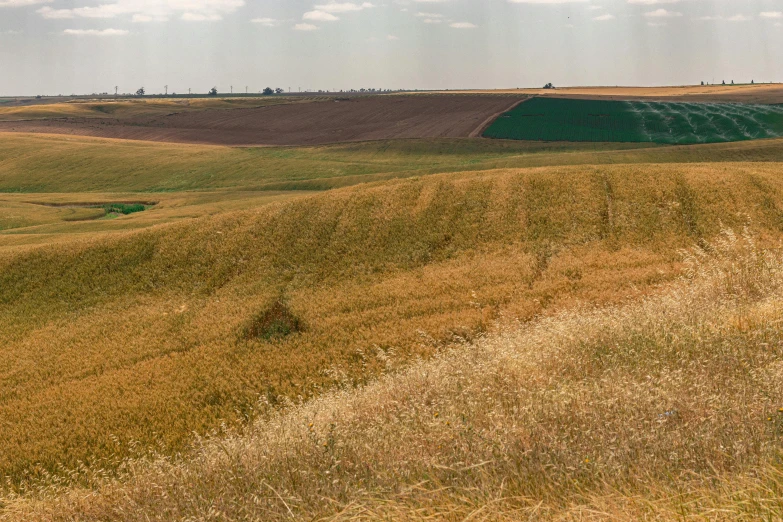 a red fire hydrant sitting in the middle of a field, a colorized photo, by Attila Meszlenyi, panorama distant view, southern slav features, wheat fields, 1990s photograph