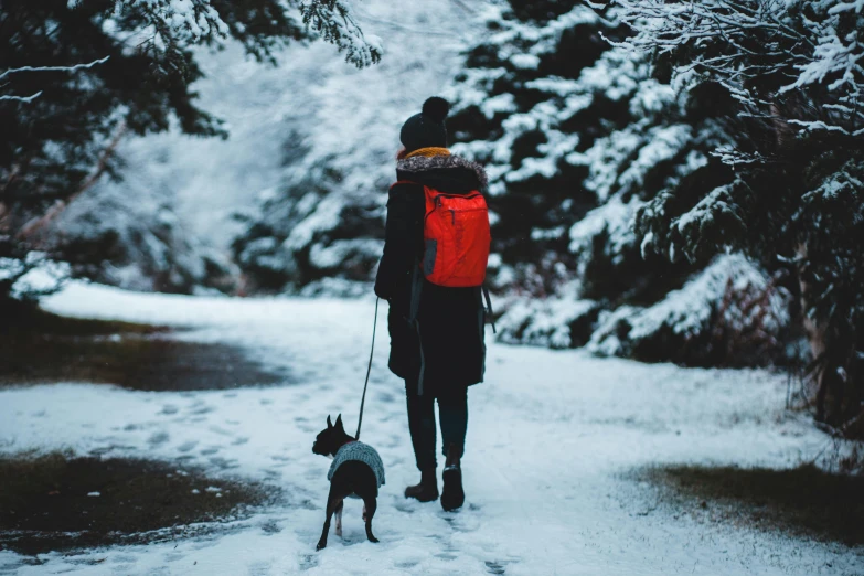 a person walking a dog in the snow, pexels contest winner, a backpack, avatar image, cold freezing nights, striking colour