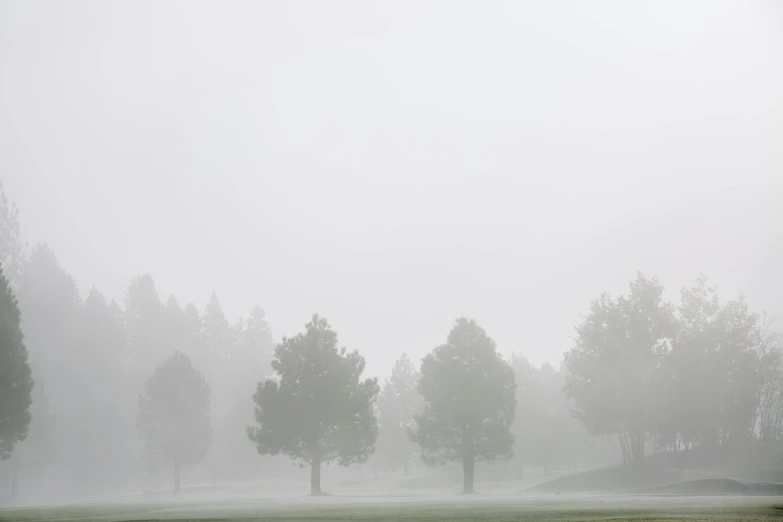 a foggy golf course with trees in the background, by Neil Blevins, unsplash contest winner, pure white hazy overcast sky, overcast gray skies, sparse pine trees, heat haze