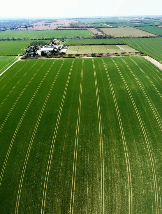 an aerial view of a farm in the country, by Peter Churcher, immense wheat fields, profile image, striped, infested with pitch green