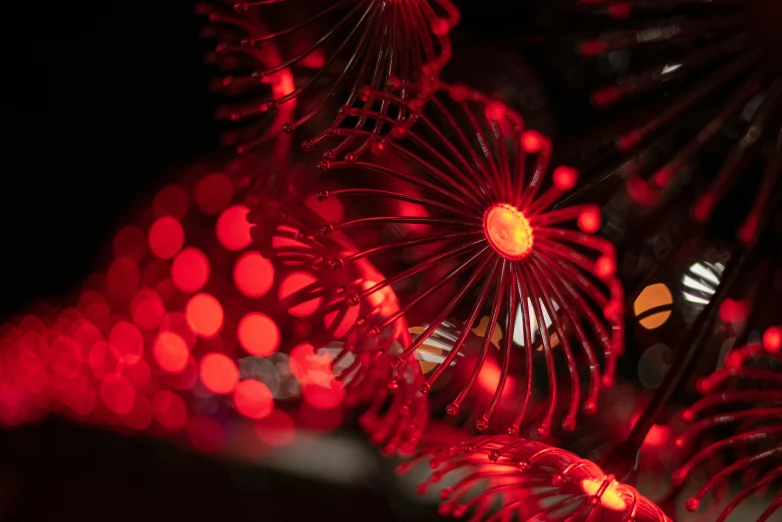 a close up of a bunch of red lights, a digital rendering, inspired by Bruce Munro, pexels, hurufiyya, radiolaria, tropical lighting, festive, shot with sony alpha