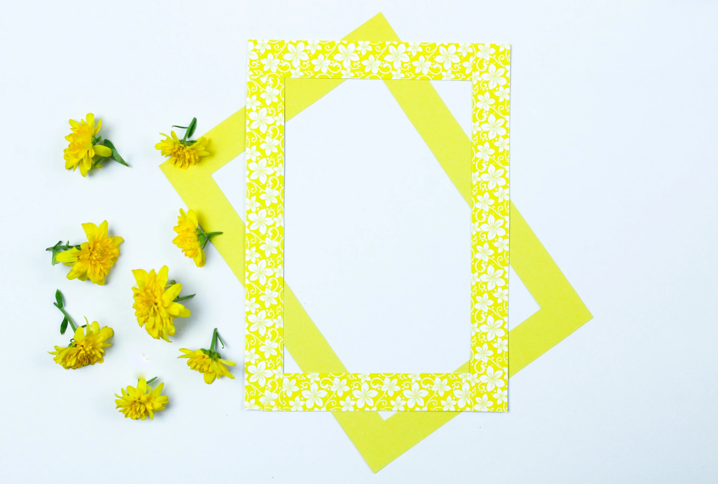 a bunch of yellow flowers sitting on top of a white surface, paper border, product image, photography of kurzgesagt, beautiful frames