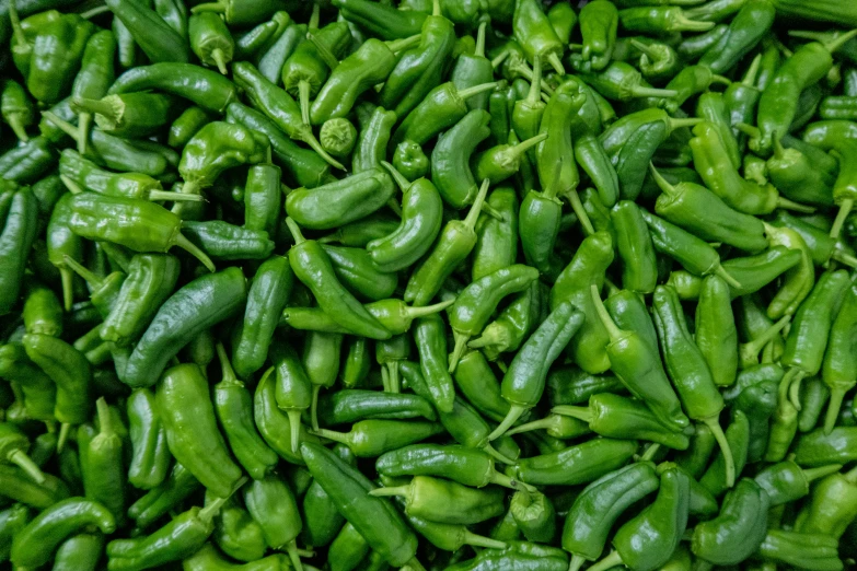 a pile of green peppers sitting on top of each other, by Carey Morris, pexels, chili, avatar image, green floor, chilean