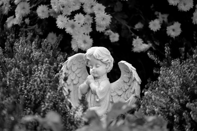 a statue of an angel in a garden, by Marie Angel, pixabay, fine art, icon black and white, cute photo, flower child, 2000s photo