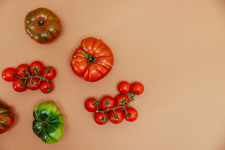 a table topped with lots of different types of tomatoes, by Emma Andijewska, trending on unsplash, gradient brown to red, plain background, ivy's, 15081959 21121991 01012000 4k