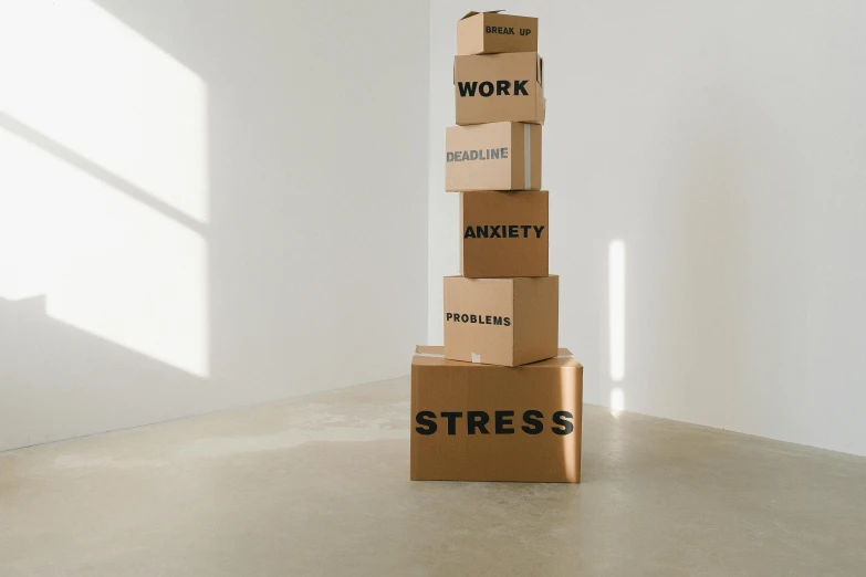 a stack of cardboard boxes sitting on top of each other, a cartoon, trending on pexels, stressed, sitting in an empty white room, a labeled, stress