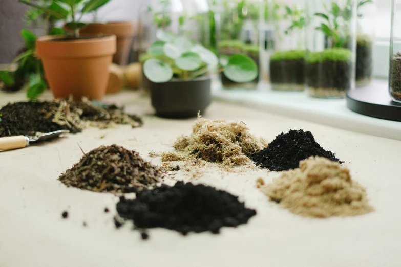 a bunch of dirt sitting on top of a table, botanicals, chemical woekshop, detailed product image, indoor shot