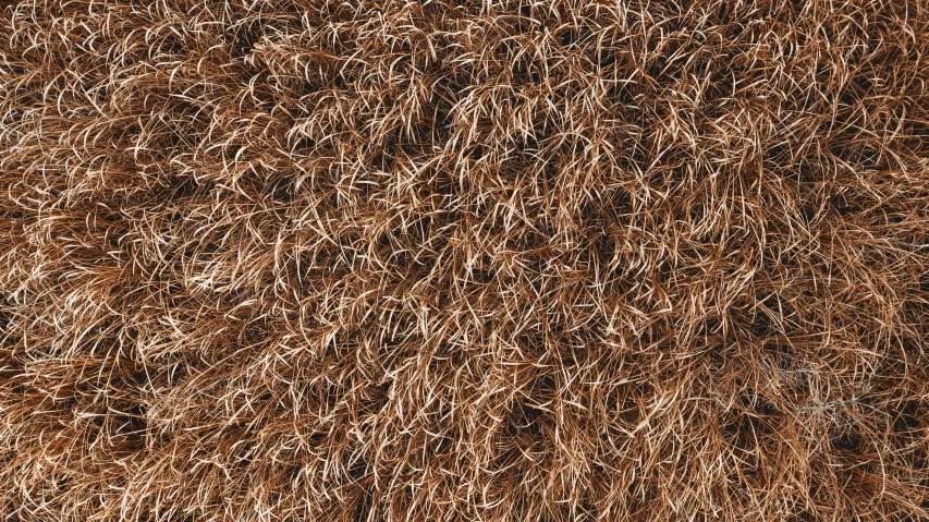 a pile of hay sitting on top of a field, a digital rendering, inspired by Patrick Dougherty, reddit, moist brown carpet, cinnamon #b57e59 skin color, ffffound, bushy moustache