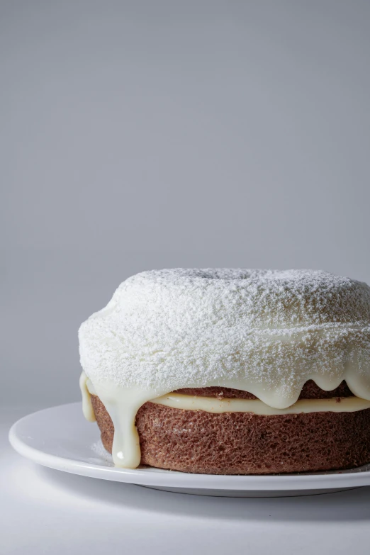 a cake sitting on top of a white plate, powdered sugar, adi meyers, ignant, trimmed with a white stripe