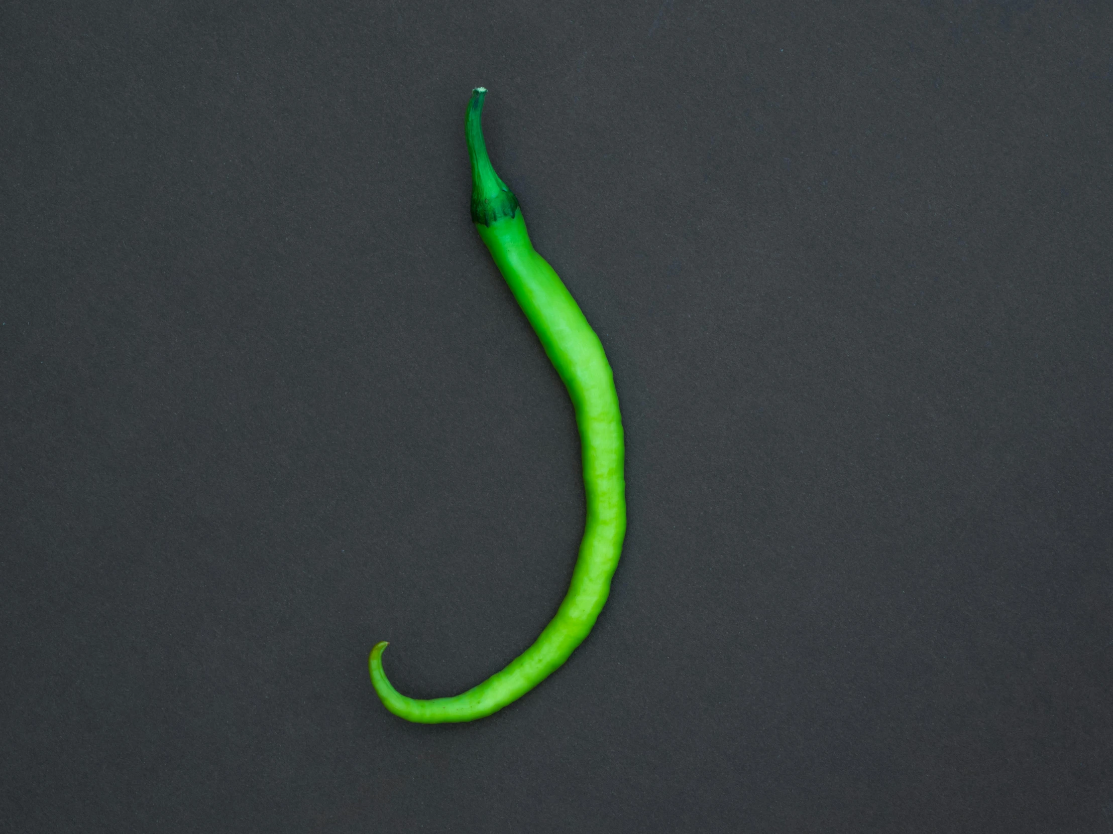 a green pepper on a black background, an album cover, inspired by Grillo Demo, trending on pexels, hurufiyya, cat tail, tara mcpherson, detailed product shot, on a gray background