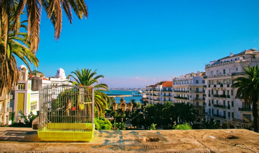 an open gate in front of a view of a city