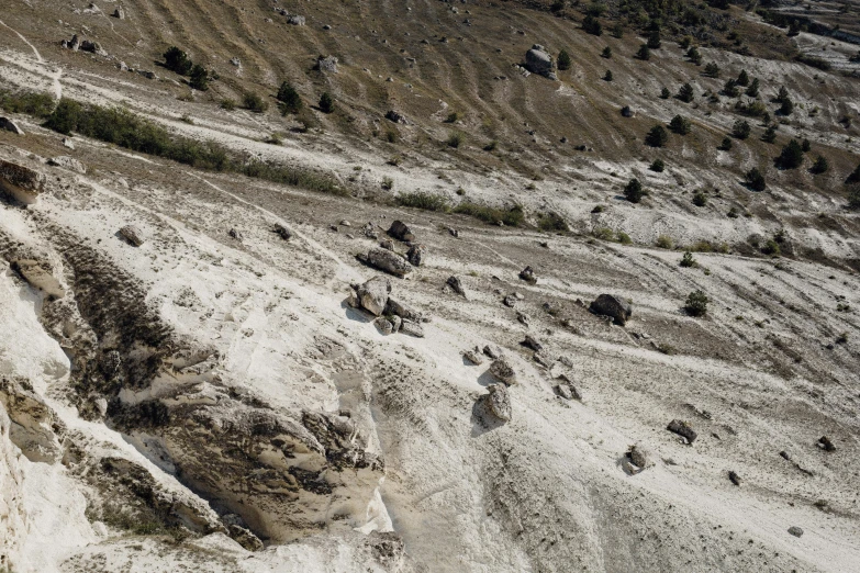 a herd of elephants walking on a rocky hillside