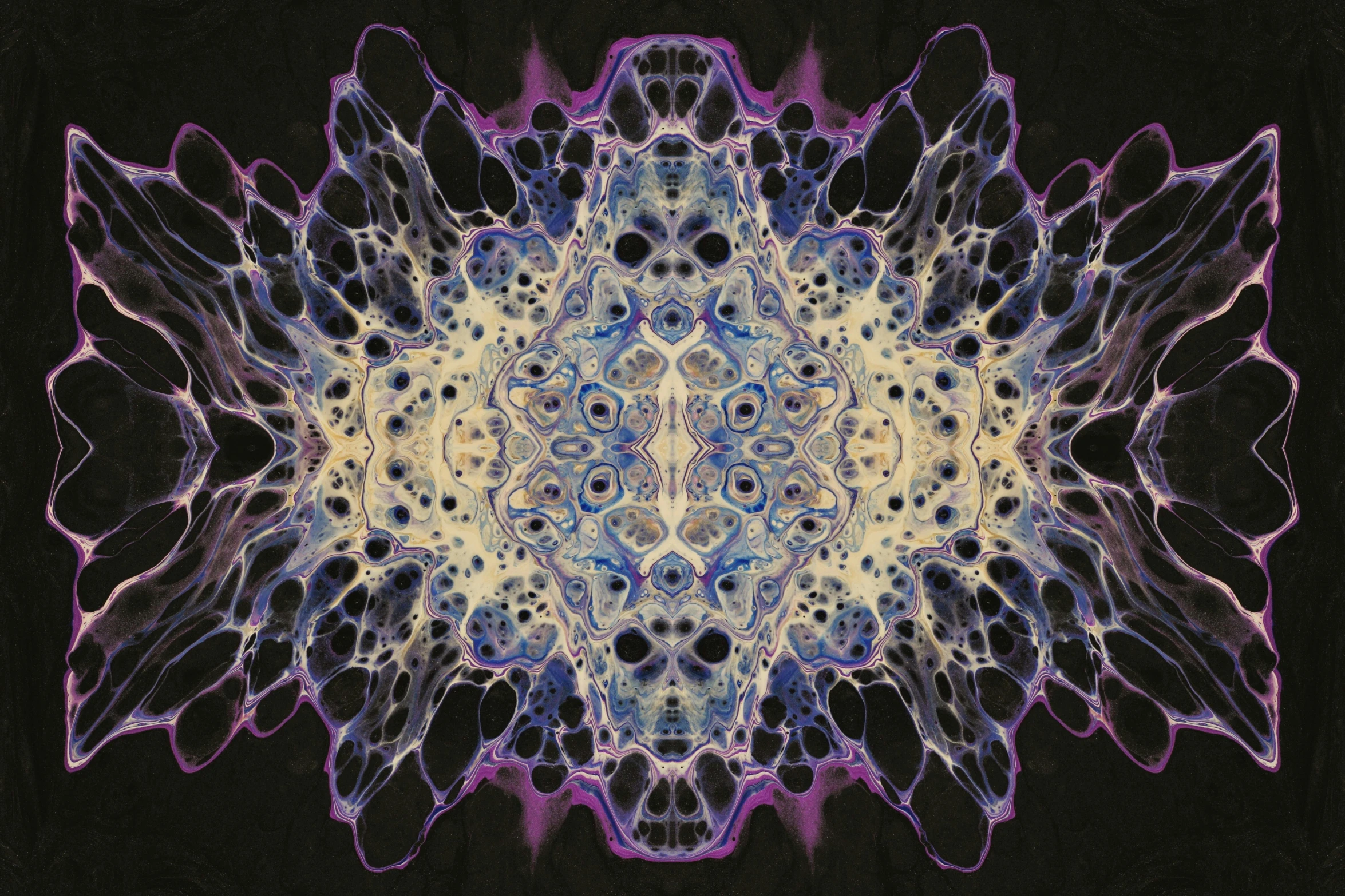 a purple and blue flower on a black background, inspired by Benoit B. Mandelbrot, generative art, intricate mycelial lace, intricate oil sweeps, symmetrical artwork, dreamy painting of coronavirus