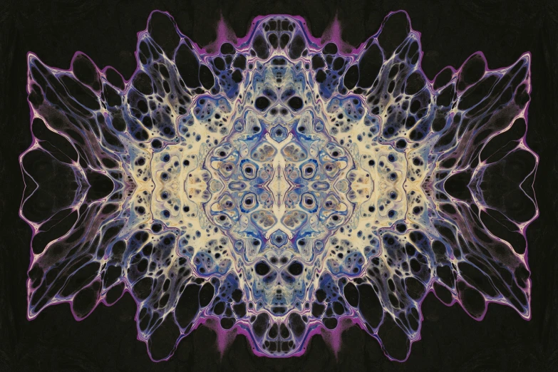 a purple and blue flower on a black background, inspired by Benoit B. Mandelbrot, generative art, intricate mycelial lace, intricate oil sweeps, symmetrical artwork, dreamy painting of coronavirus