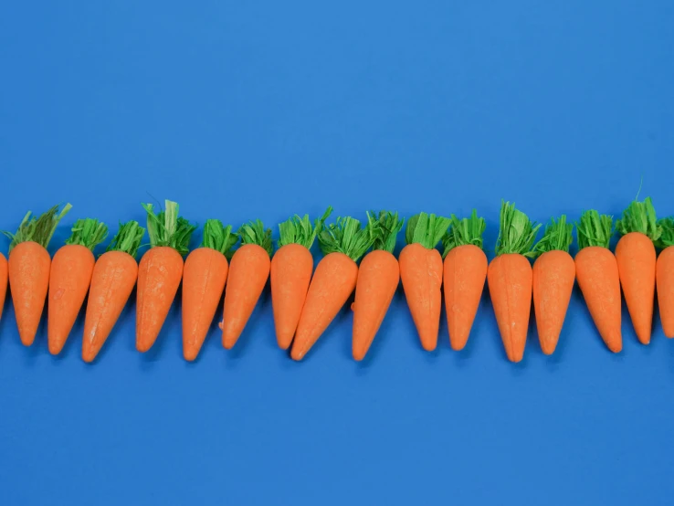 a row of carrots on a blue background, inspired by Francisco de Holanda, trending on reddit, claymation, easter, hedge, various sizes