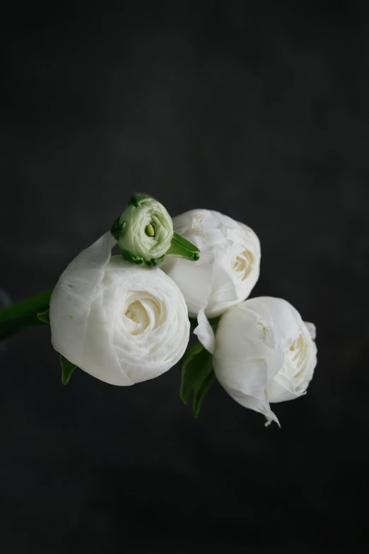 a bouquet of flowers with green stems