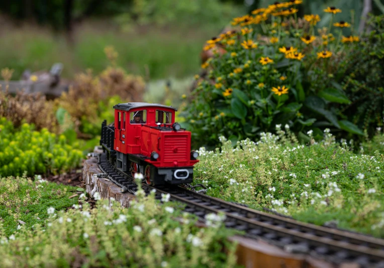 there is a toy red train going through some flowers