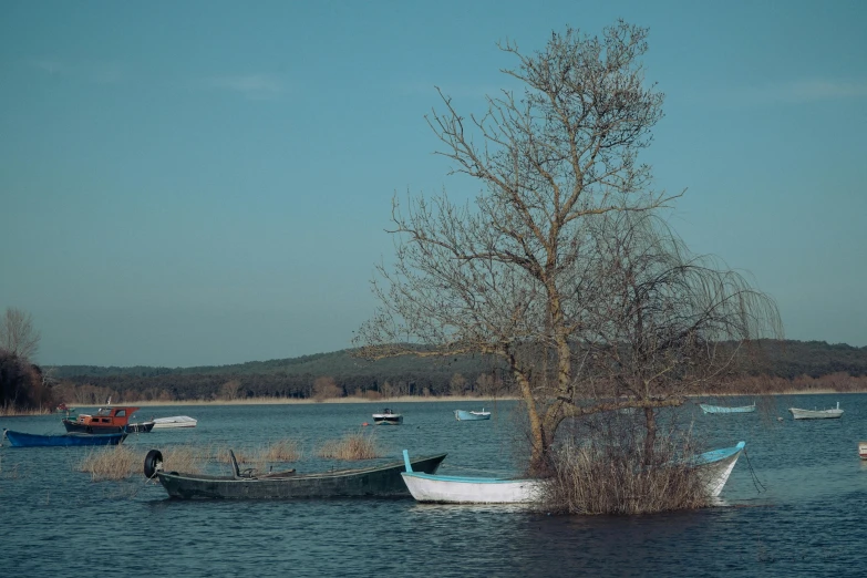 a group of boats floating on top of a lake, by Eglon van der Neer, pexels contest winner, hurufiyya, old trees, plain background, lake blue, nostalgic and melancholic 4 k