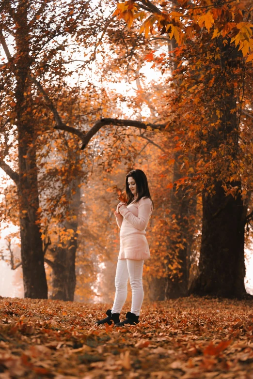 a woman standing in the middle of a field of leaves, pale orange colors, checking her phone, classical, red trees