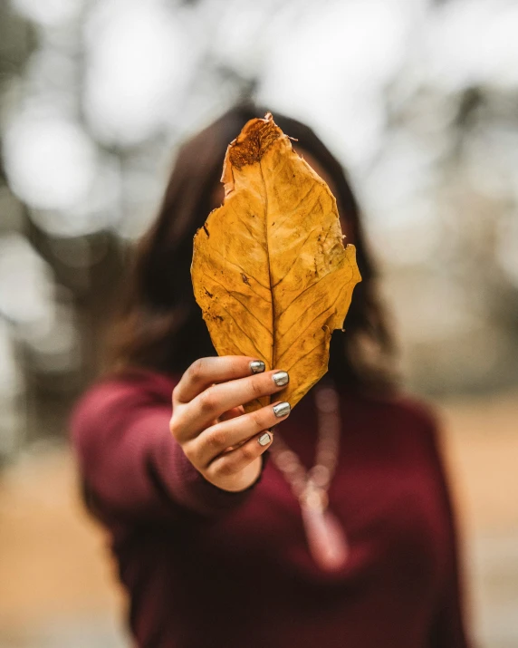 a woman holding a leaf in front of her face, trending on pexels, brown sweater, non-binary, single image, of letting go