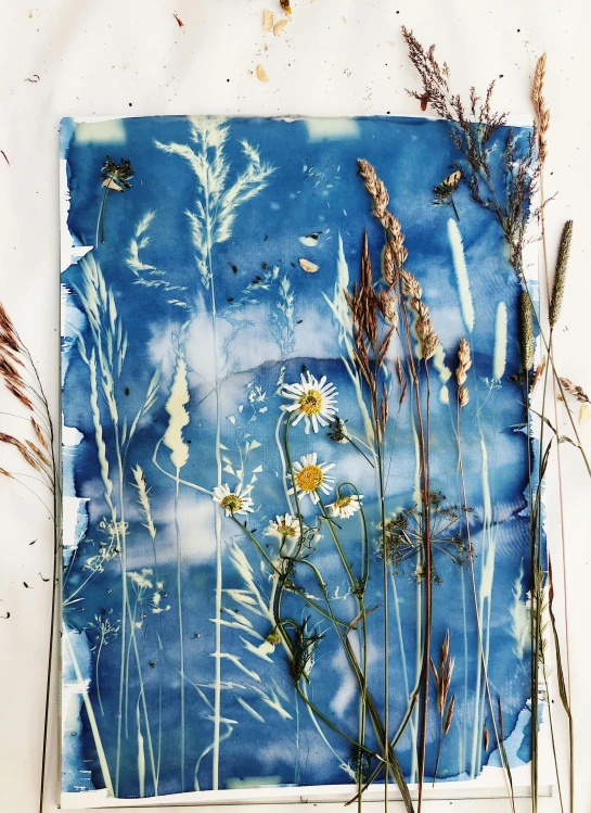 a watercolor painting of a field of wildflowers, by Anna Haifisch, trending on unsplash, process art, cyanotype, painting on silk, 🌻🎹🎼, mixed media photography