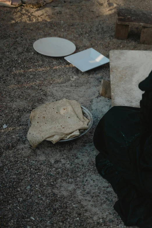 a dog that is laying down on the ground, an album cover, by Elsa Bleda, unsplash, arte povera, offering a plate of food, somali woman, ripped fabric, desert