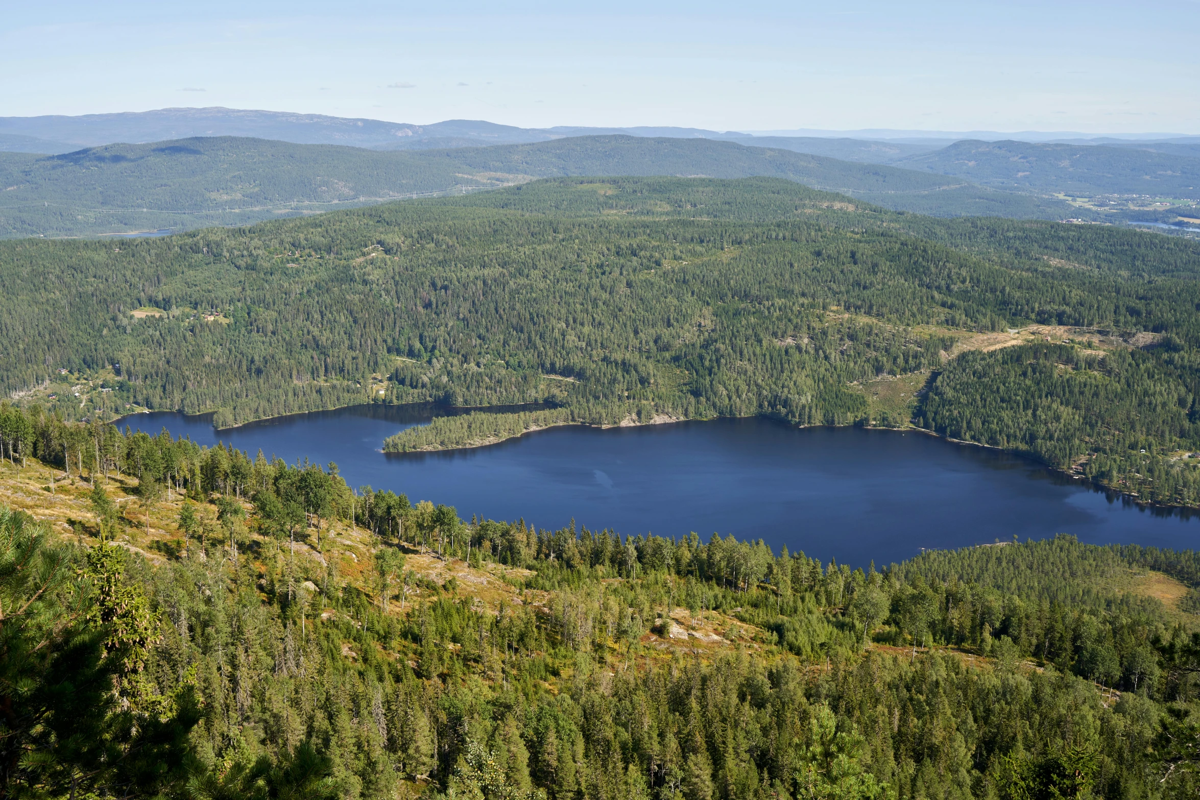 a scenic scene from the top of a hill shows an expanse of land, which has large patches of trees on either side