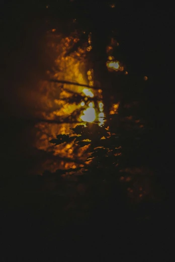 the sun is shining through the trees in the dark, a picture, inspired by Elsa Bleda, fire reflection, high quality image, instagram picture, (night)