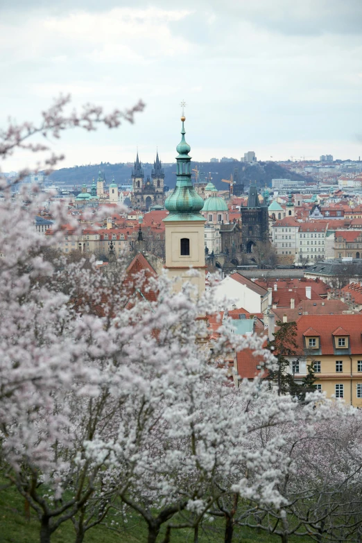 a view of a city from the top of a hill, inspired by Slava Raškaj, trending on unsplash, art nouveau, blossoms, square, 2000s photo, prague