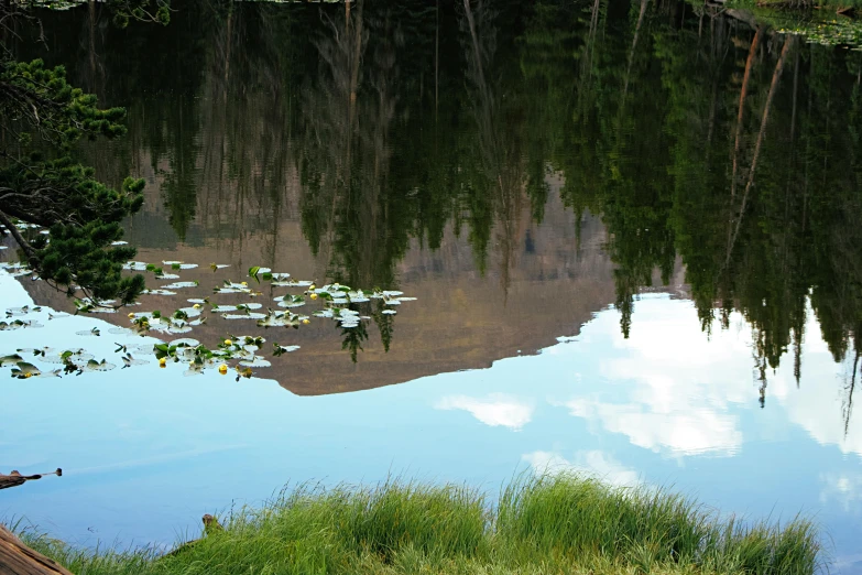 a body of water with a mountain in the background, by Jan Rustem, unsplash, land art, alpine pond with water lilies, colorado, reflections. shady, imaginary slice of life