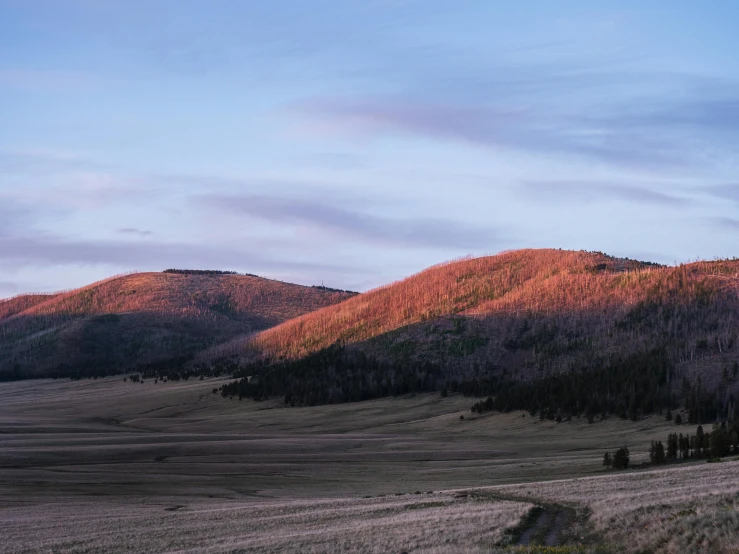 a mountain landscape with trees and other land