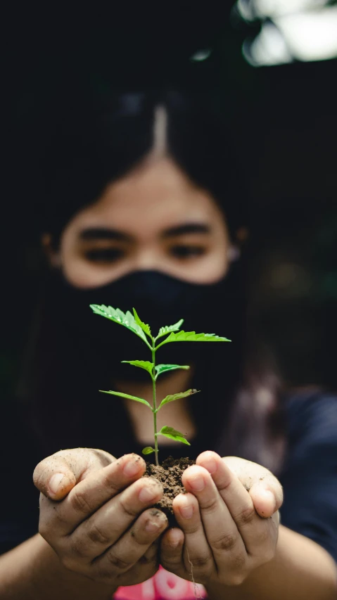 a woman holding a small plant in her hands, an album cover, unsplash, sumatraism, green facemask, avatar image, ap photo