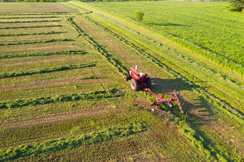 a farmer on a farm field in the middle of his crops