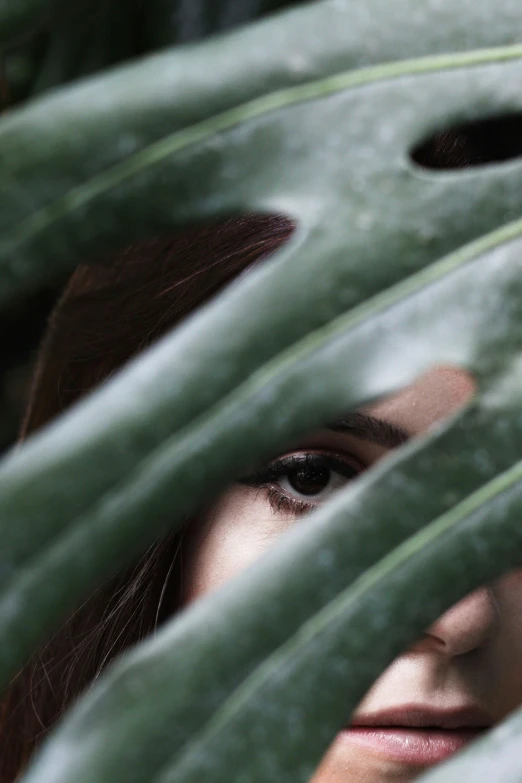 a close up of a person behind a leaf, inspired by Elsa Bleda, trending on pexels, renaissance, girl with white eyes, hiding behind obstacles, girl with dark brown hair, jungle