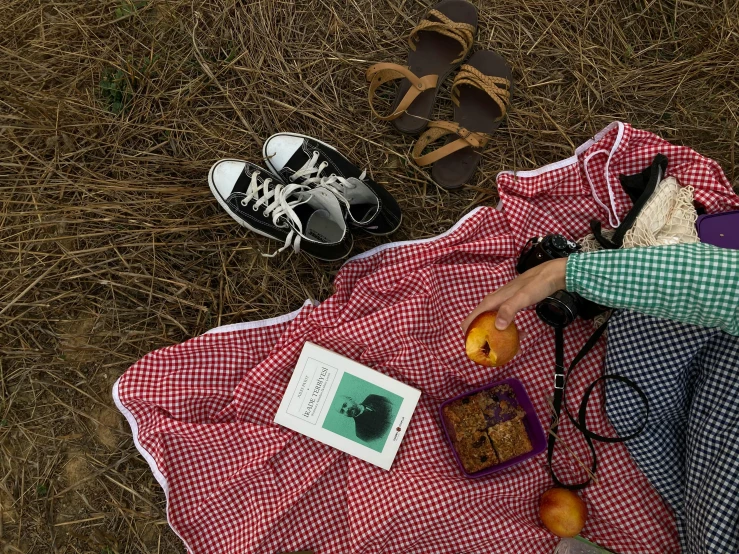 a couple of people sitting on top of a grass covered field, unsplash, visual art, cookbook photo, apples on the ground, on a checkered floor, traveling clothes