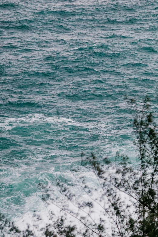 a man riding a wave on top of a surfboard, trending on unsplash, dense thickets on each side, overcast lake, abel tasman, view from slightly above