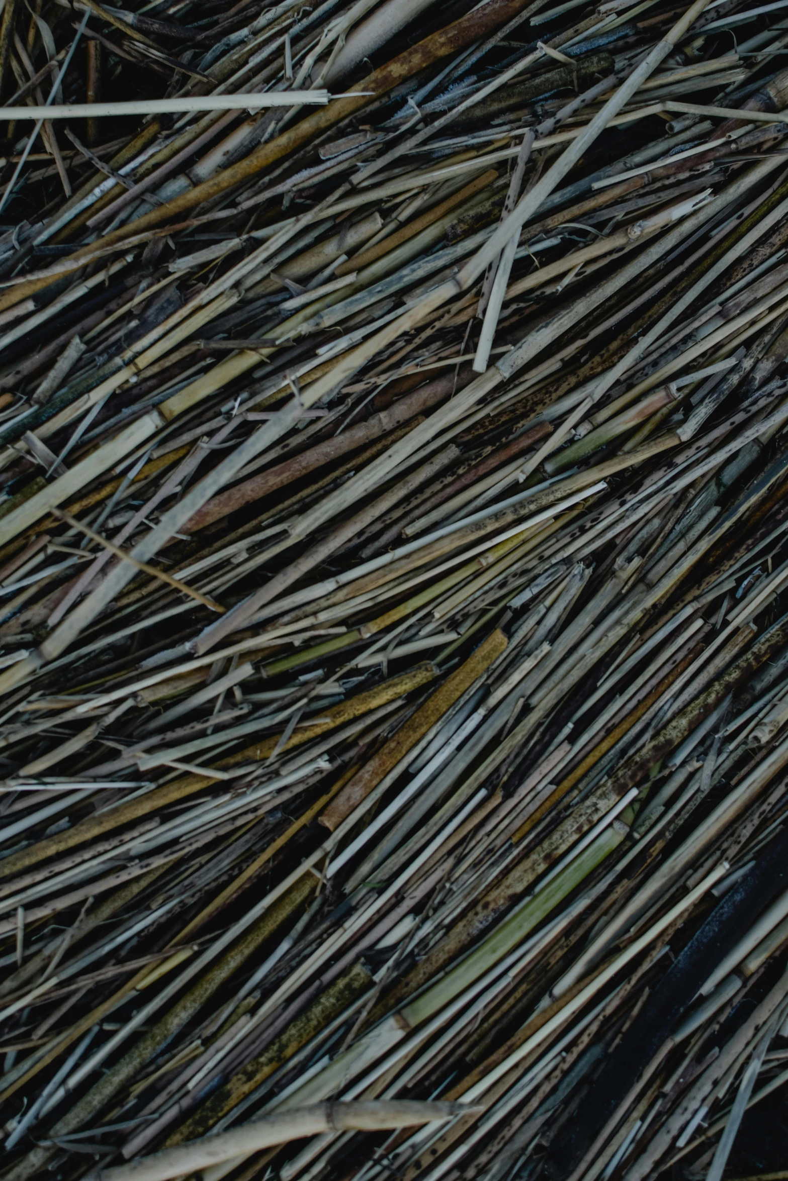 a bird sitting on top of a pile of sticks, an album cover, inspired by Patrick Dougherty, unsplash, grass texture material, carbon fibers, high angle close up shot, trimmed