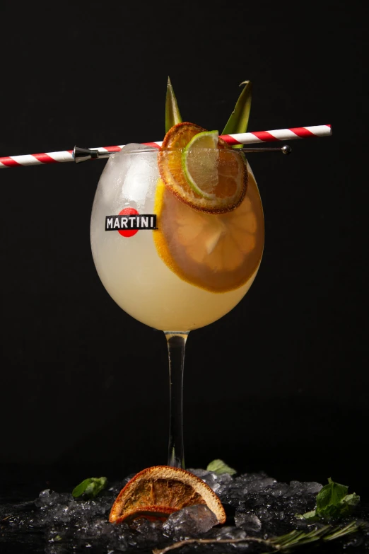 a close up of a drink in a glass with a straw, by Ndoc Martini, renaissance, thumbnail, front facing, seasonal, panini