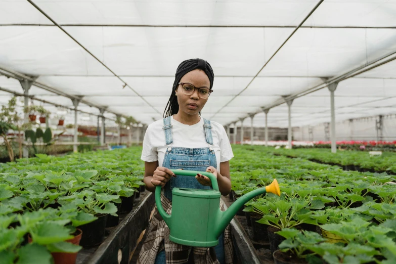 a woman holding a watering can in a greenhouse, pexels contest winner, young black woman, holding a thick staff, wearing farm clothes, hydroponic farms