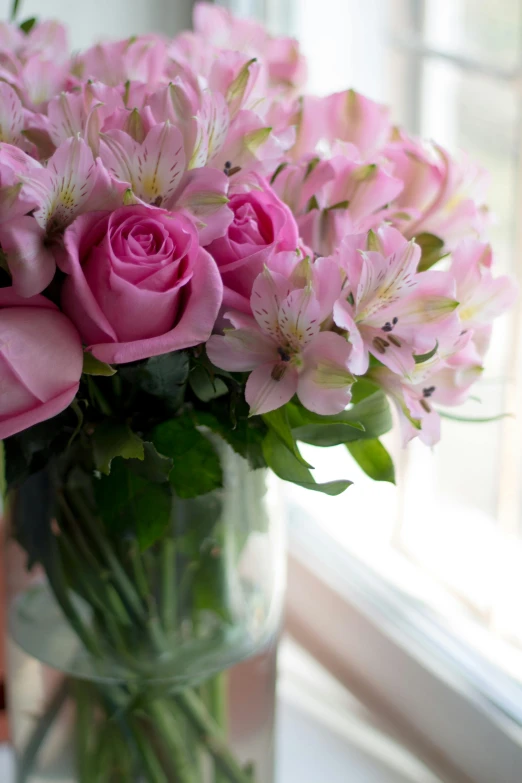 pink roses in a clear vase with water on a table