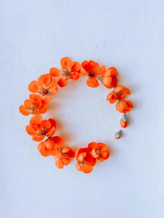 small orange flowers arranged into a circular shape