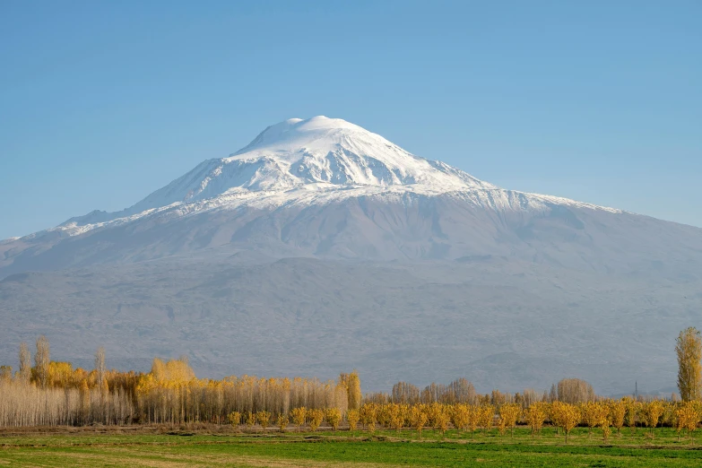 a snowy mountain in the background with grass on both sides