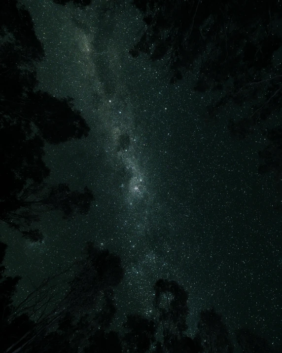 a night sky filled with lots of stars, an album cover, unsplash contest winner, australian tonalism, as seen from the canopy, ansel ], unsaturated and dark atmosphere, lost in the milky void