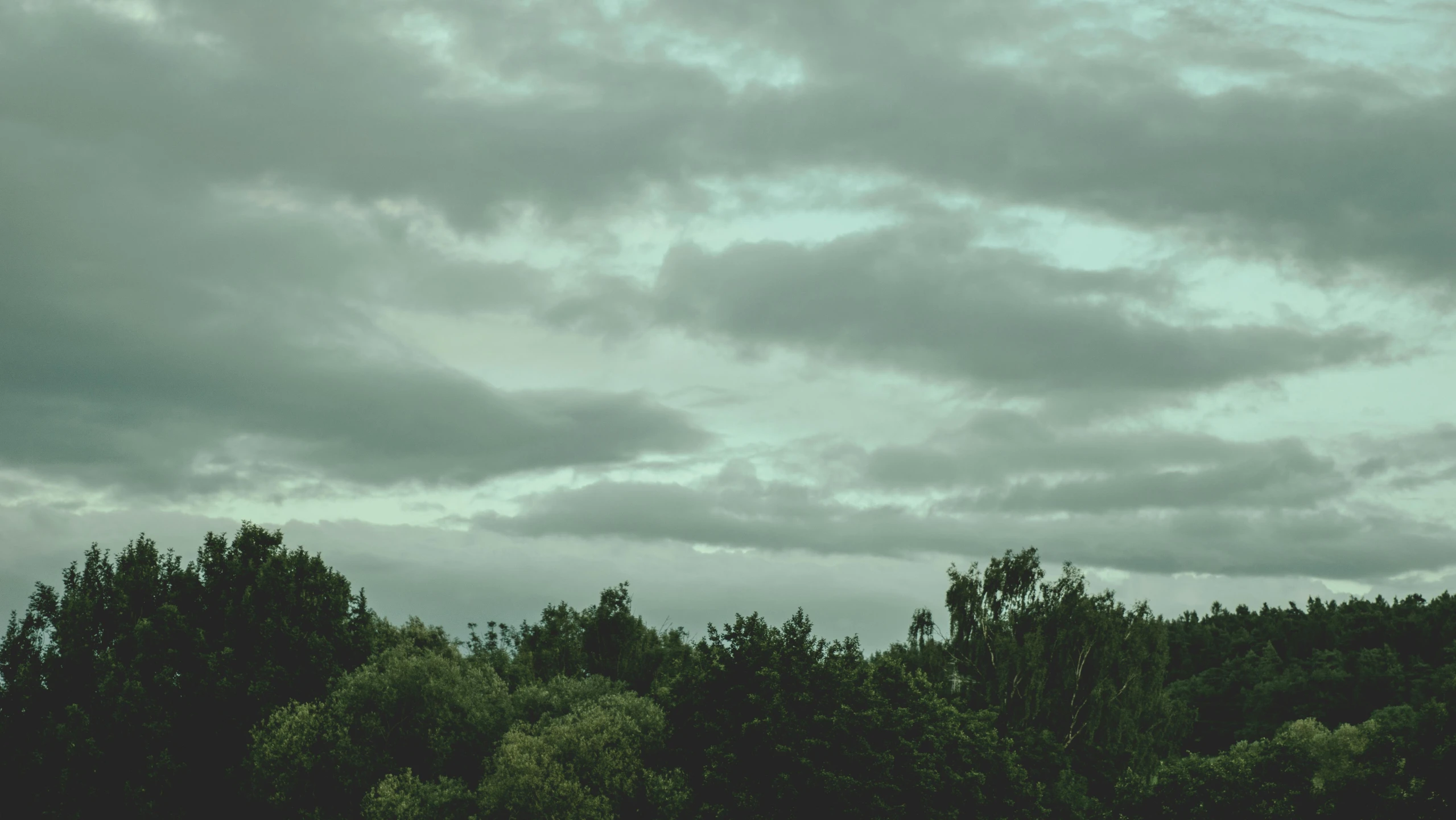 a view of the sky with clouds over the trees