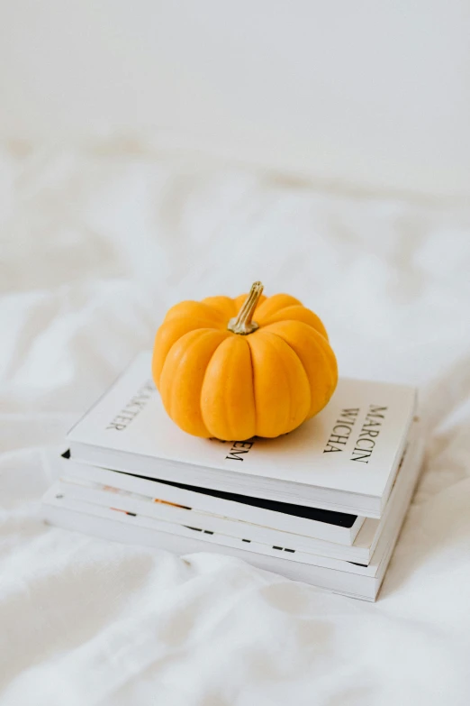 a stack of books sitting on top of a bed, pumpkin, on a white table, profile image, small